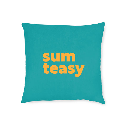 Sum Teasy Cushion